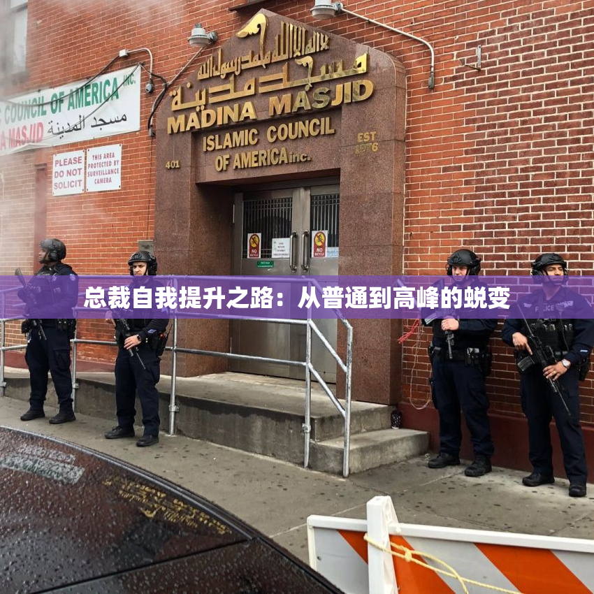 总裁自我提升之路：从普通到高峰的蜕变