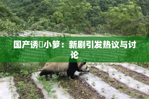 国产诱奷小箩：新剧引发热议与讨论