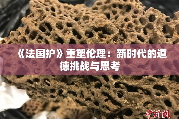 《法国护》重塑伦理：新时代的道德挑战与思考