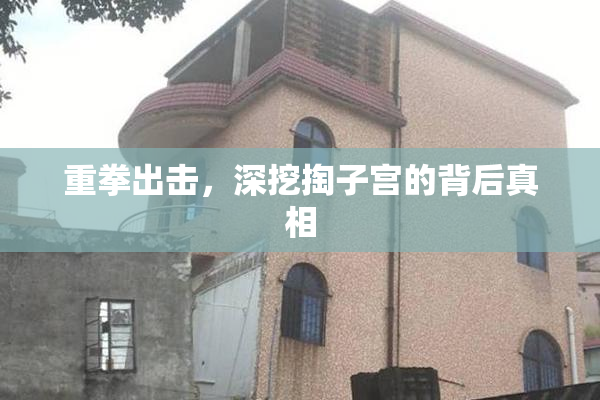 重拳出击，深挖掏子宫的背后真相