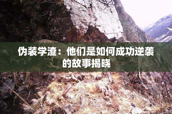 伪装学渣：他们是如何成功逆袭的故事揭晓