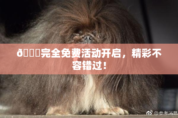 🔞完全免费活动开启，精彩不容错过！