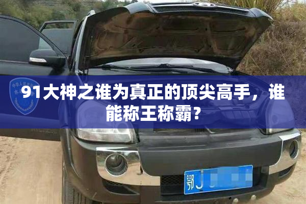91大神之谁为真正的顶尖高手，谁能称王称霸？