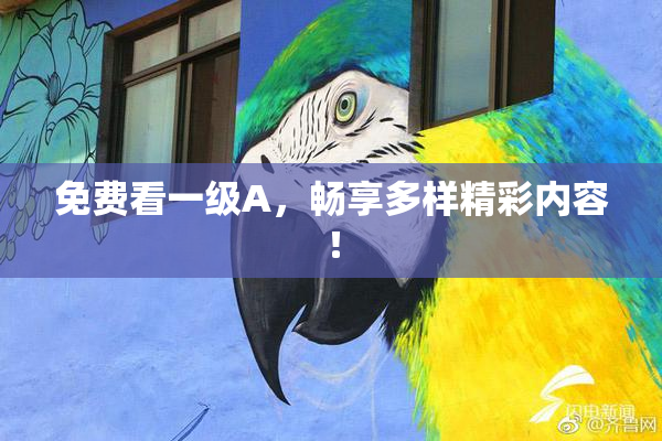 免费看一级A，畅享多样精彩内容！