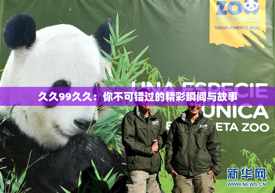 久久99久久：你不可错过的精彩瞬间与故事