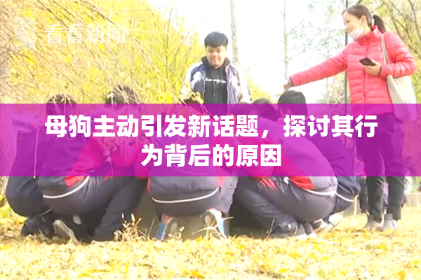 母狗主动引发新话题，探讨其行为背后的原因