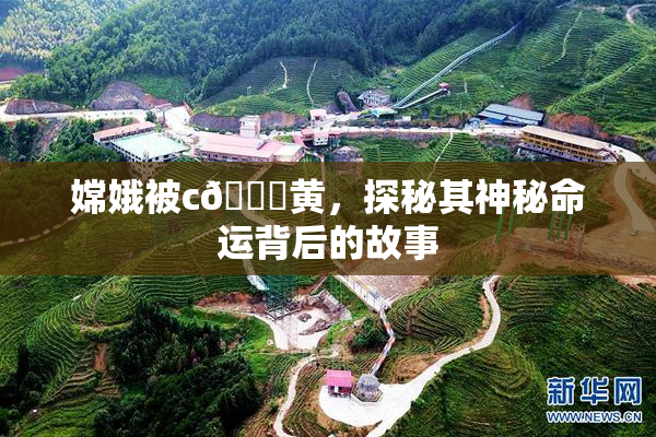 嫦娥被c🔞黄，探秘其神秘命运背后的故事