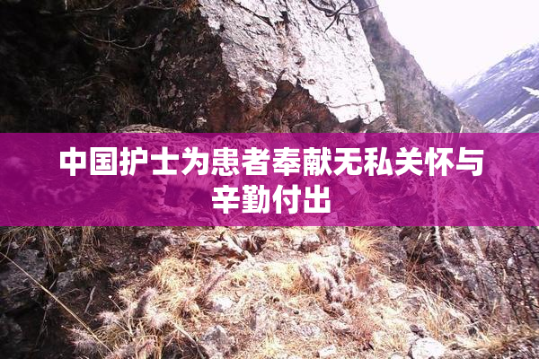 中国护士为患者奉献无私关怀与辛勤付出