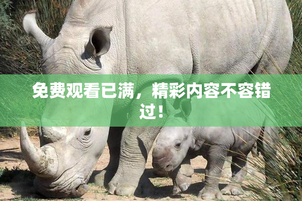 免费观看已满，精彩内容不容错过！