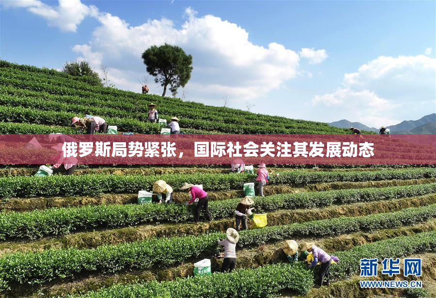 俄罗斯局势紧张，国际社会关注其发展动态