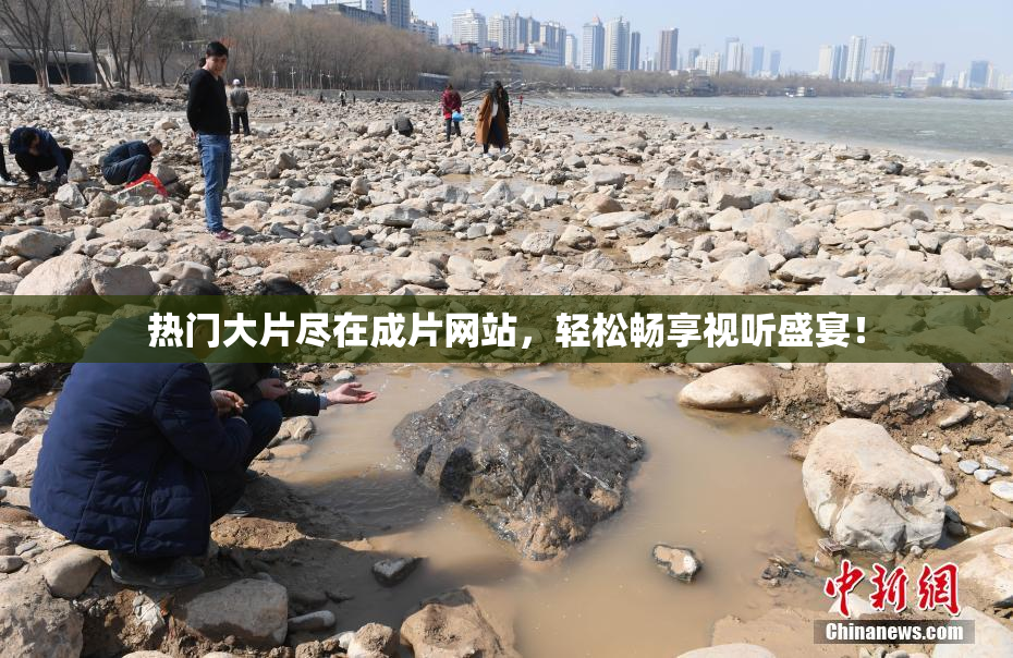 热门大片尽在成片网站，轻松畅享视听盛宴！