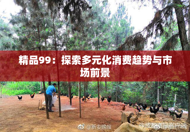 精品99：探索多元化消费趋势与市场前景
