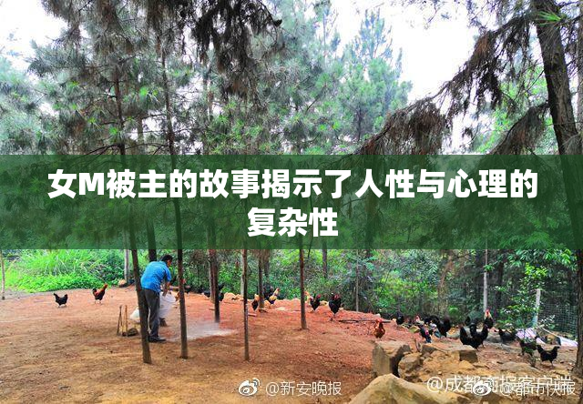 女M被主的故事揭示了人性与心理的复杂性
