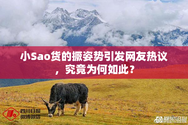 小Sao货的撅姿势引发网友热议，究竟为何如此？