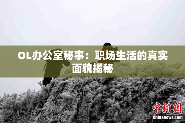 OL办公室秘事：职场生活的真实面貌揭秘