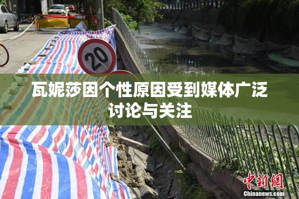 瓦妮莎因个性原因受到媒体广泛讨论与关注