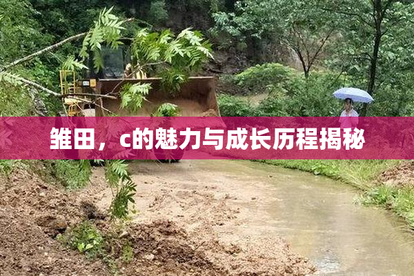 雏田，c的魅力与成长历程揭秘