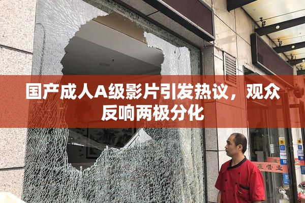 国产成人A级影片引发热议，观众反响两极分化