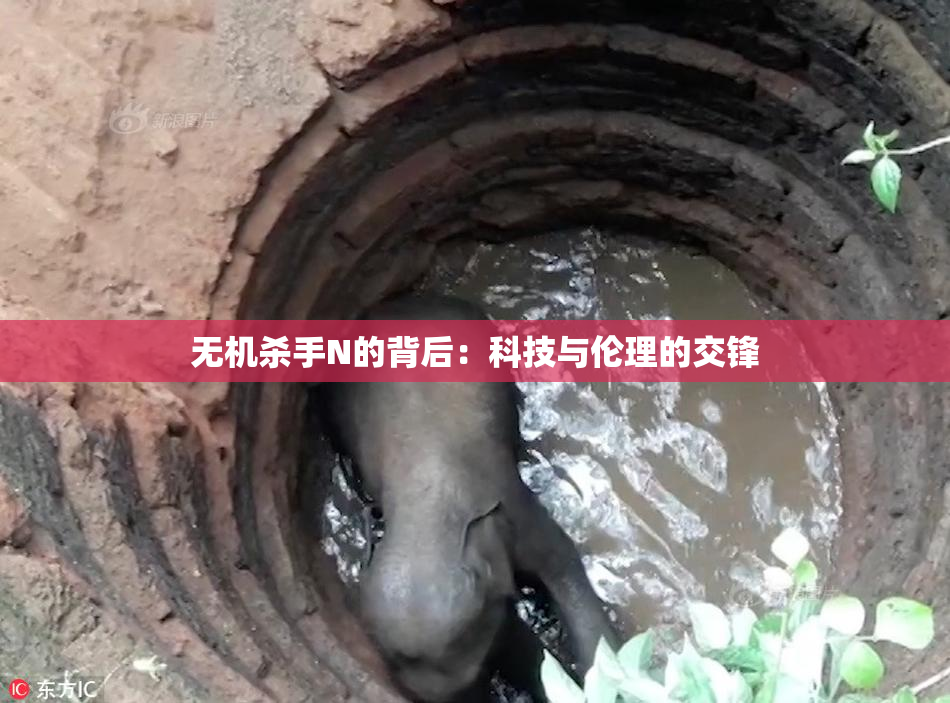 无机杀手N的背后：科技与伦理的交锋