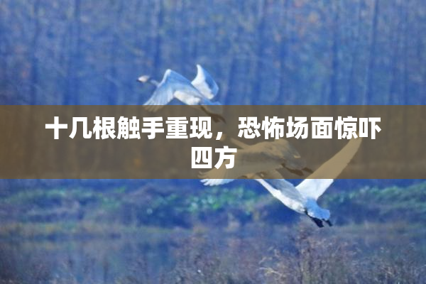 十几根触手重现，恐怖场面惊吓四方