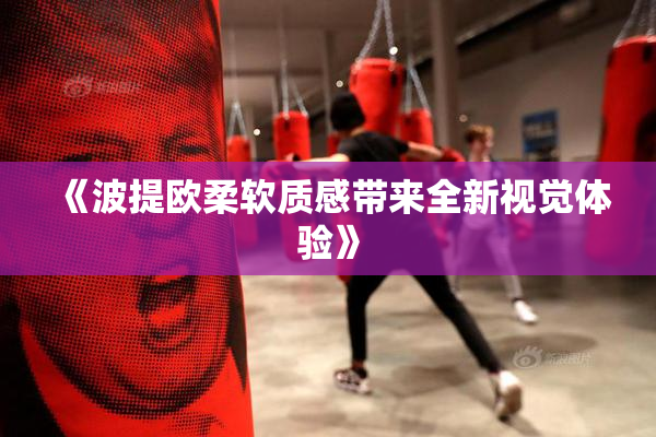 《波提欧柔软质感带来全新视觉体验》