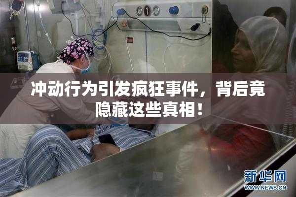 冲动行为引发疯狂事件，背后竟隐藏这些真相！