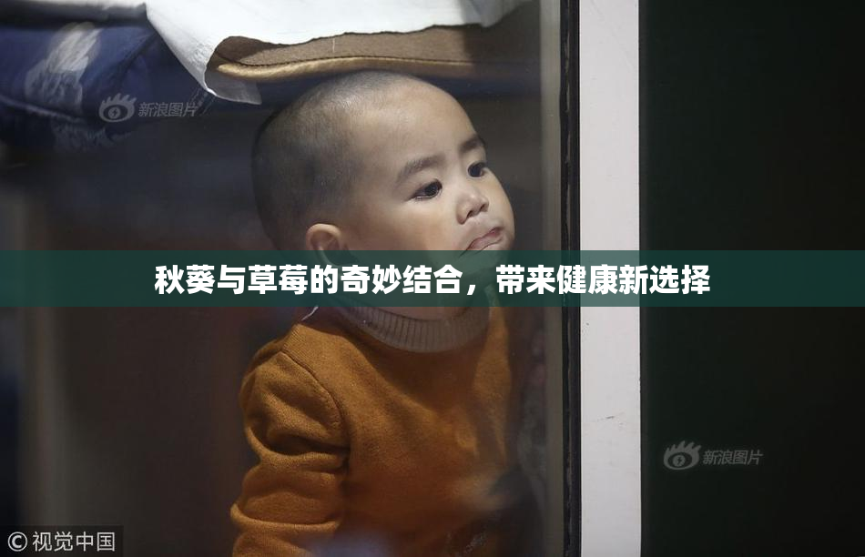 秋葵与草莓的奇妙结合，带来健康新选择
