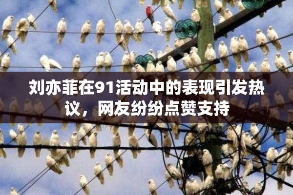 刘亦菲在91活动中的表现引发热议，网友纷纷点赞支持