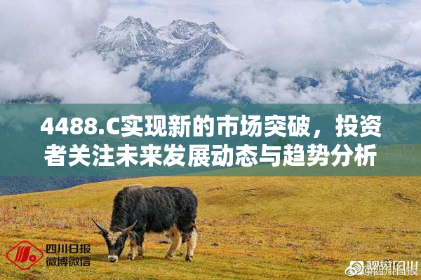 4488.C实现新的市场突破，投资者关注未来发展动态与趋势分析