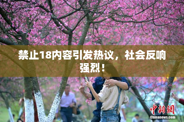 禁止18内容引发热议，社会反响强烈！