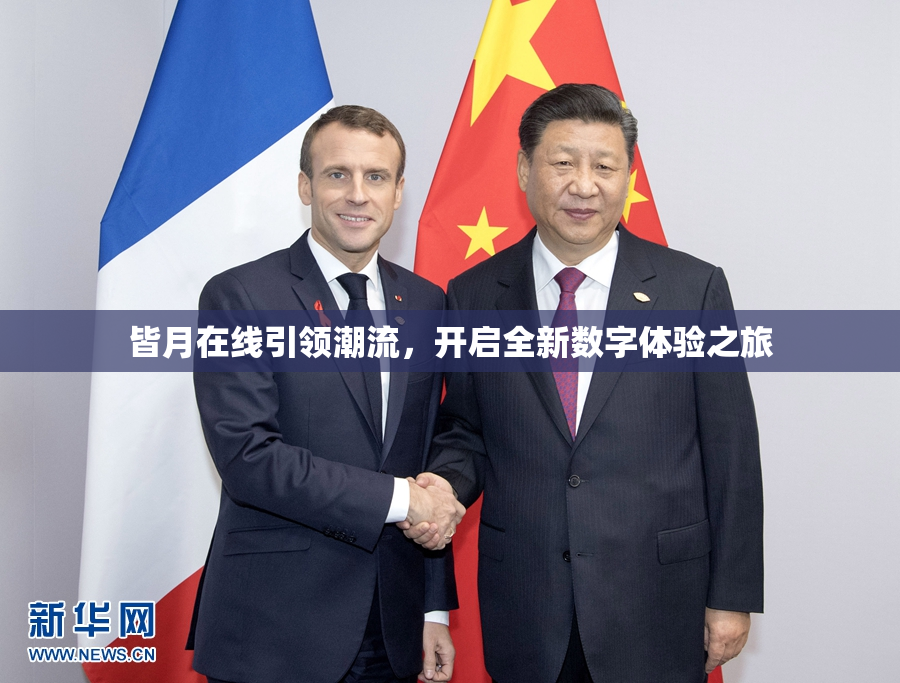 皆月在线引领潮流，开启全新数字体验之旅