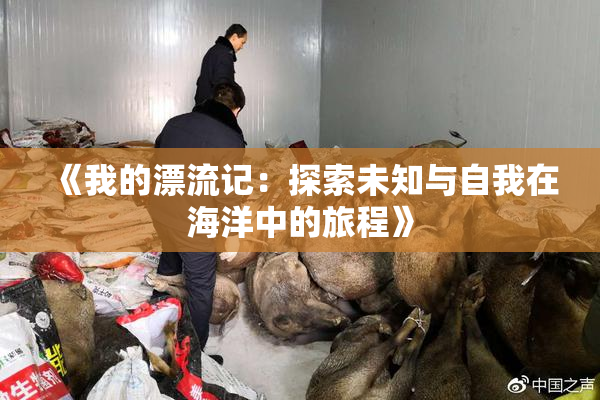 《我的漂流记：探索未知与自我在海洋中的旅程》
