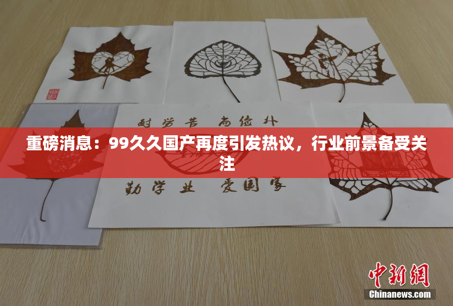 重磅消息：99久久国产再度引发热议，行业前景备受关注