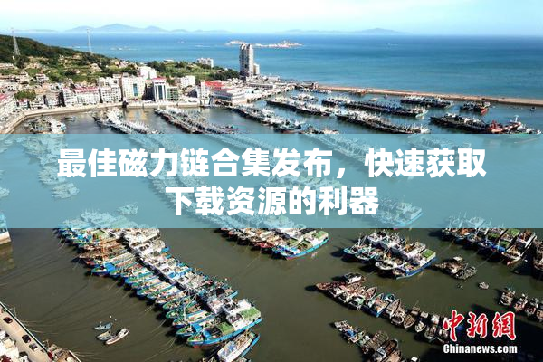 最佳磁力链合集发布，快速获取下载资源的利器
