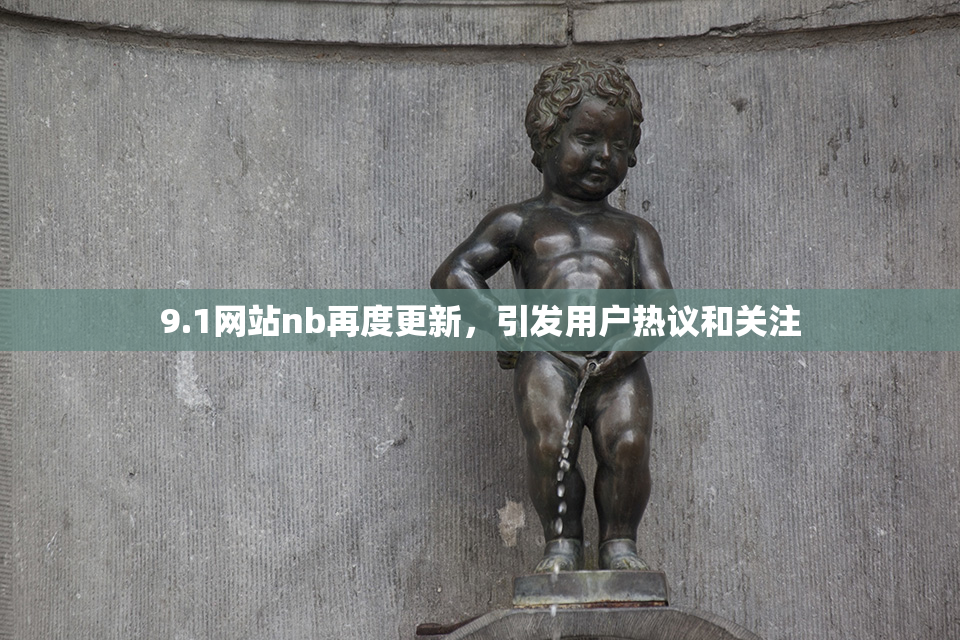 9.1网站nb再度更新，引发用户热议和关注