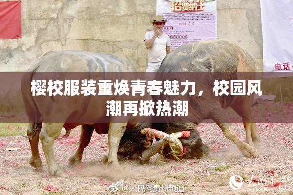 樱校服装重焕青春魅力，校园风潮再掀热潮