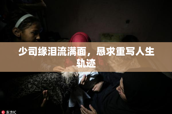少司缘泪流满面，恳求重写人生轨迹