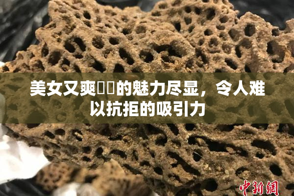 美女又爽❌‌的魅力尽显，令人难以抗拒的吸引力