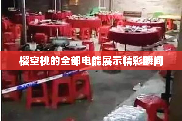 樱空桃的全部电能展示精彩瞬间