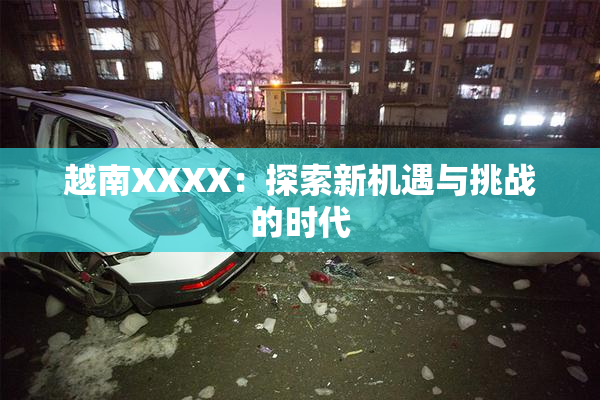 越南XXXX：探索新机遇与挑战的时代