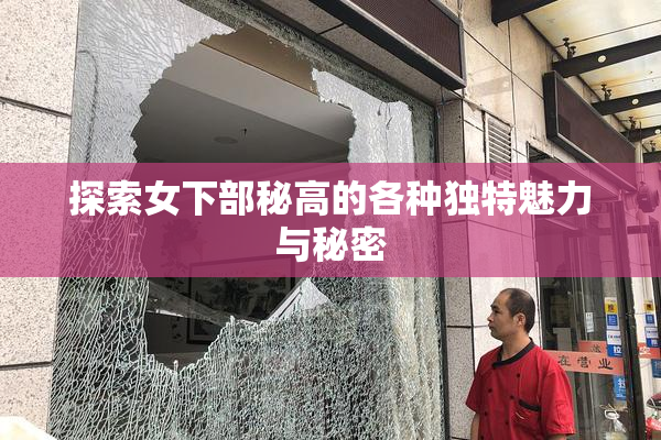 探索女下部秘高的各种独特魅力与秘密