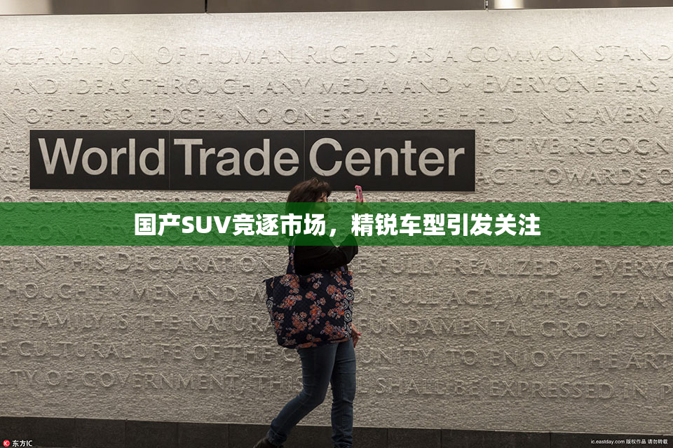 国产SUV竞逐市场，精锐车型引发关注