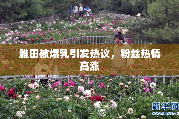 雏田被爆乳引发热议，粉丝热情高涨