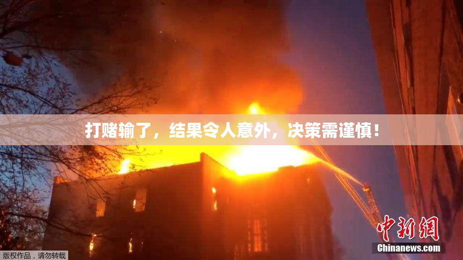 打赌输了，结果令人意外，决策需谨慎！