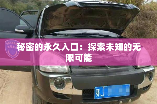 秘密的永久入口：探索未知的无限可能