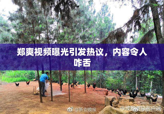 郑爽视频曝光引发热议，内容令人咋舌