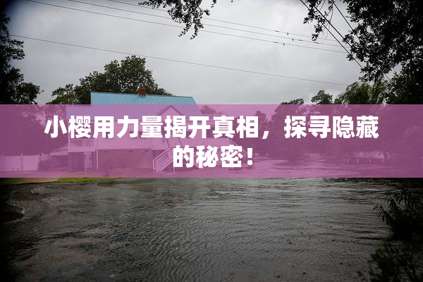 小樱用力量揭开真相，探寻隐藏的秘密！