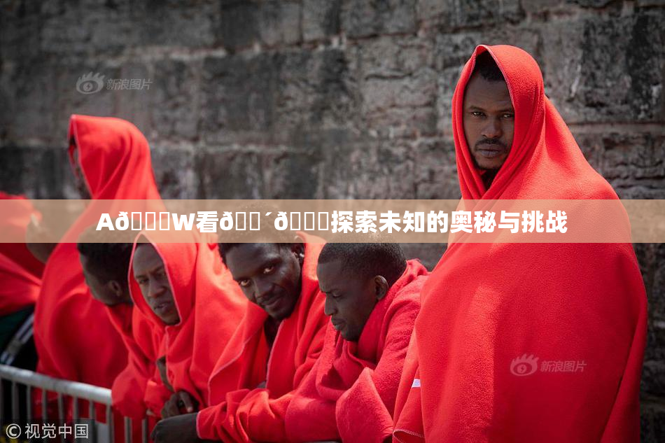 A🔞W看🔴🔞探索未知的奥秘与挑战
