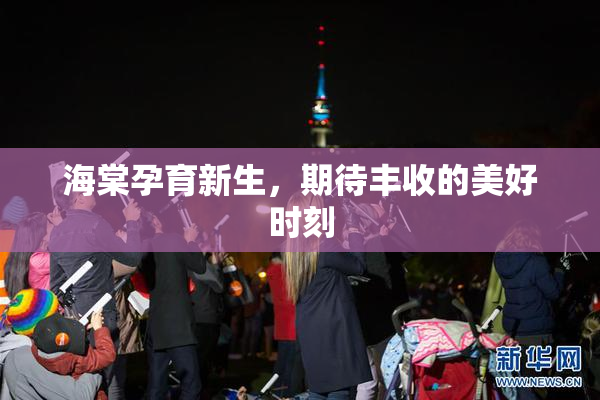 海棠孕育新生，期待丰收的美好时刻