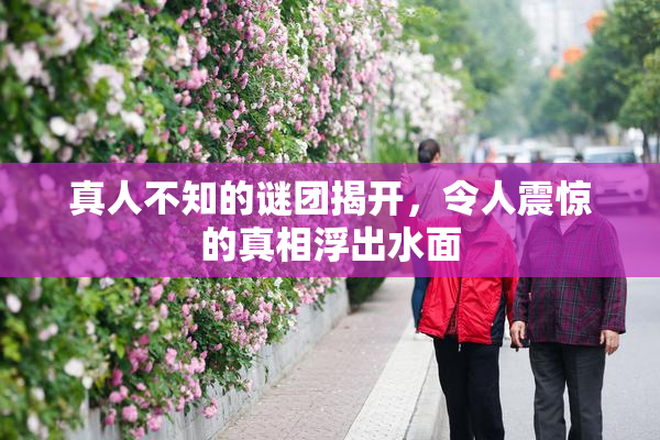 真人不知的谜团揭开，令人震惊的真相浮出水面